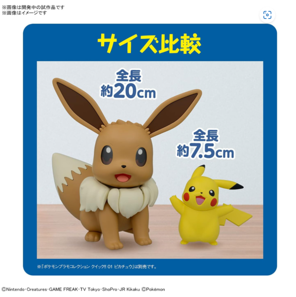 BIG Eevee - Bild 15