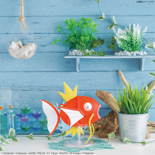 BIG Magikarp - Bild 11